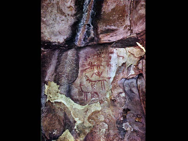 Pitture rupestri di Tuppo dei Sassi o Riparo Ranaldi - Filiano (PZ)